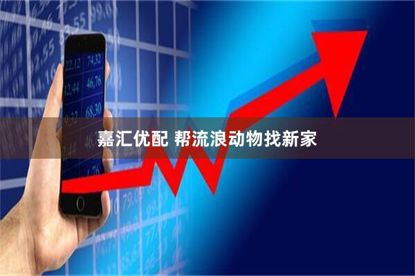 嘉汇优配 帮流浪动物找新家