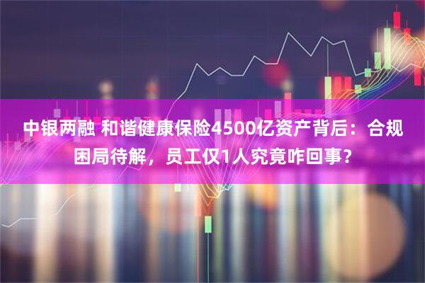 中银两融 和谐健康保险4500亿资产背后：合规困局待解，员工仅1人究竟咋回事？