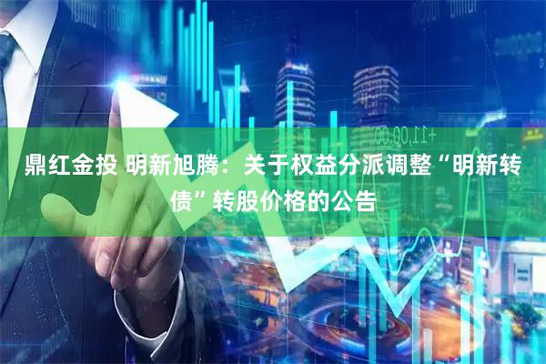 鼎红金投 明新旭腾：关于权益分派调整“明新转债”转股价格的公告
